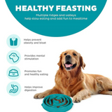 Outward Hound Fun Feeder Drop Turquoise - Slow Feeder Bowl for Dogs