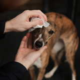 Beco Bamboo Dog Grooming Travel Wipes Unscented