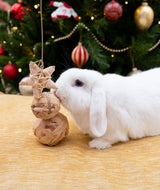 Rosewood Water Hyacinth Trio Toy