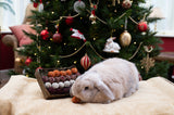 Rosewood Advent Gift 'n' Forage Truffle Tray