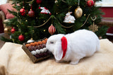 Rosewood Advent Gift 'n' Forage Truffle Tray