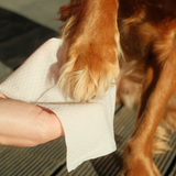 Beco Bamboo Dog Grooming Travel Wipes Coconut Scented