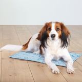 Trixie Light Blue Cooling Mat for Dogs