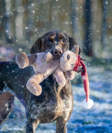 Rosewood Brad Bear