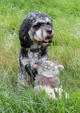 Rosewood Rebel Reindeer