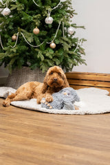 Rosewood Orlando Owl