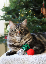 Rosewood Christmas Cat Toy Stocking