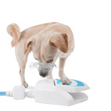 All For Paws Chill Out Garden Water Fountain - Paw Activated Water Dispenser for Dogs