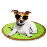 All For Paws Chill Out Kiwi - Cooling Mat for Dogs