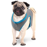 All For Paws Chill Out Lightweight Breathable Cooling Vest for Dogs