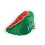 All For Paws Chill Out Watermelon Slice - Cooling Summer Chew Toy for Dogs