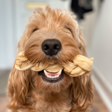 Anco Naturals Buffalo Braid