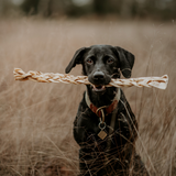 Anco Naturals Buffalo Braid