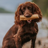 Anco Naturals Buffalo Roll