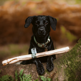 Anco Naturals Buffalo Roll