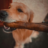 Anco Naturals Camel Roll - Hypoallergenic, Long Lasting Chew for Dogs