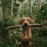 Anco Naturals Camel Roll - Hypoallergenic, Long Lasting Chew for Dogs