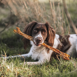Anco Naturals Ostrich Tendon
