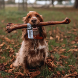 Anco Naturals Ostrich Whole Metatarsus Bone