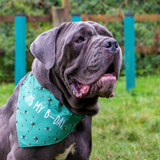 Ancol B-Day Hat & Bandana Set – Cute Bee-Themed Dog Birthday Outfit with Party Hat and Collar-Fitting Bandana