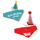 Ancol It’s My Birthday Hat & Bandana – Fun and stylish party outfit for dogs