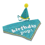 Ancol It’s My Birthday Hat & Bandana – Fun and stylish party outfit for dogs - Blue
