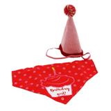 Ancol It’s My Birthday Hat & Bandana – Fun and stylish party outfit for dogs - Pink