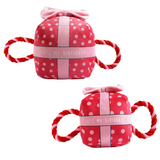 Ancol Its My Birthday Present Pink - Squeaky, Plush Birthday Toy for Dogs