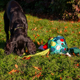 Ancol Orva Interactive Snuffle Ball