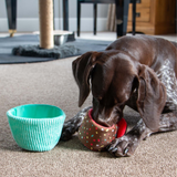 Ancol Pawty Snuffle Blue Cupcake