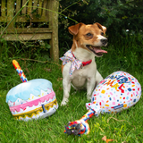 Ancol Pawty Sprinkle Cake – Soft plush dog toy in the shape of a birthday cake, featuring a rope candle and a hidden squeaker for gentle play and cuddles.