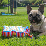 Ancol Pawty Yay Tugger – Soft plush dog toy with dual rope handles and squeaker, perfect for light tugging, cuddles, and gentle play