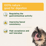 AniForte Natural Moor Mud