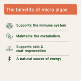 AniForte Organic Spirulina Powder