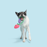 Bark Berry Best Friends