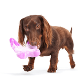 Bark Fairy Dogmother