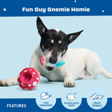 Bark Fun Guy Gnomie Homie