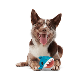 Bark Great White Dwight