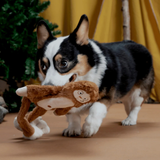 Bark Hairy Henderson