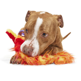 Bark Harry Potter Fawkes