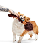 Bark Harry Potter Nimbus 2000
