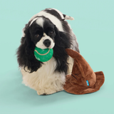 Bark Harry Potter Sorting Hat