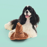 Bark Harry Potter Sorting Hat