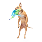 Bark Humbert The Dragon