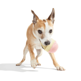 Bark I-Squeak Cone