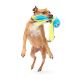 Bark Odd Otto