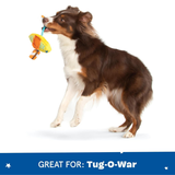 Bark Off-Track Kayak