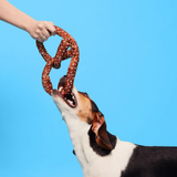 Bark Paula'S Park Slope Pretzel