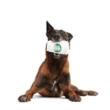 Bark Pupkin Spice Yappucino