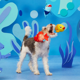 Bark The Groupers